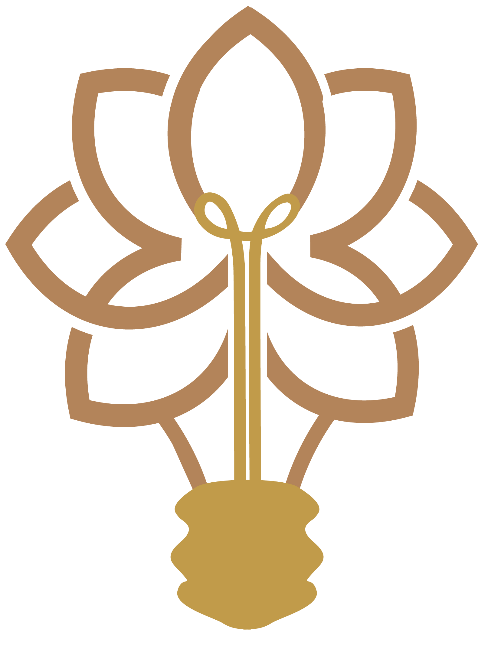Logo Inovalotus Aguarde